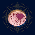 Affinity Candle