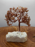 Gemstone Bonsai Trees