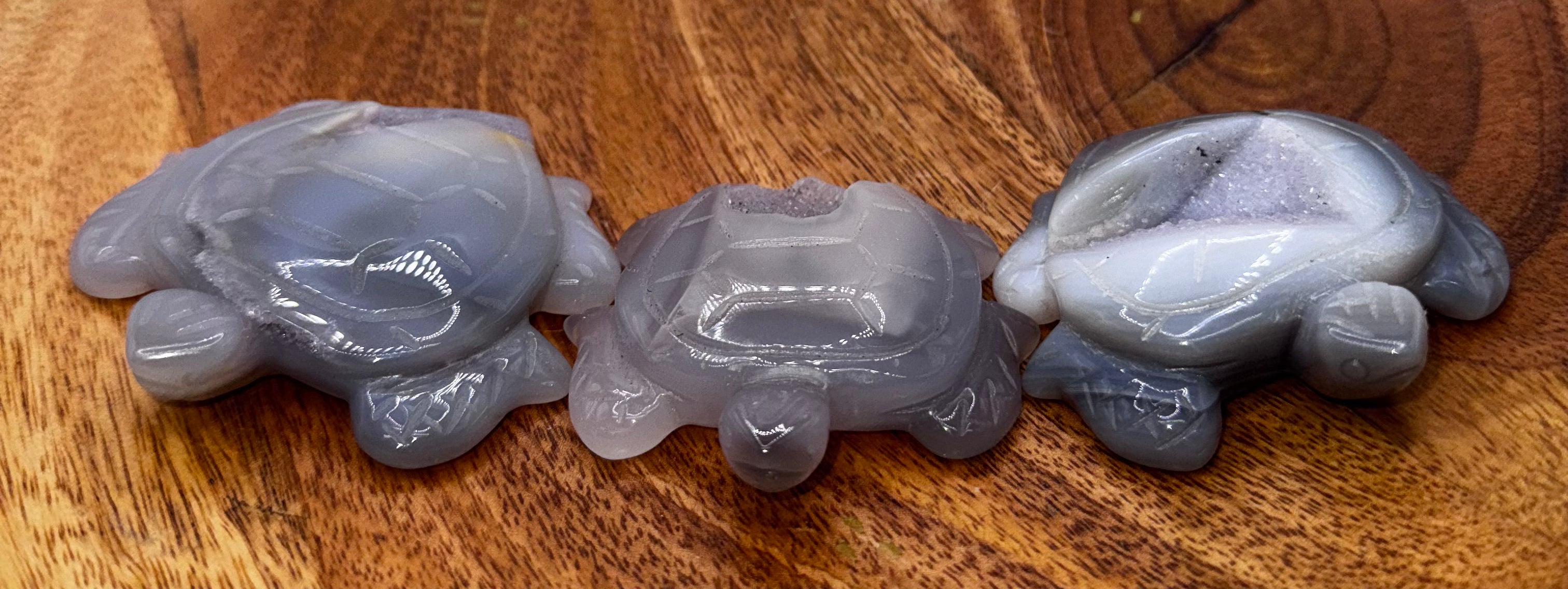 Agate Geode Turtles