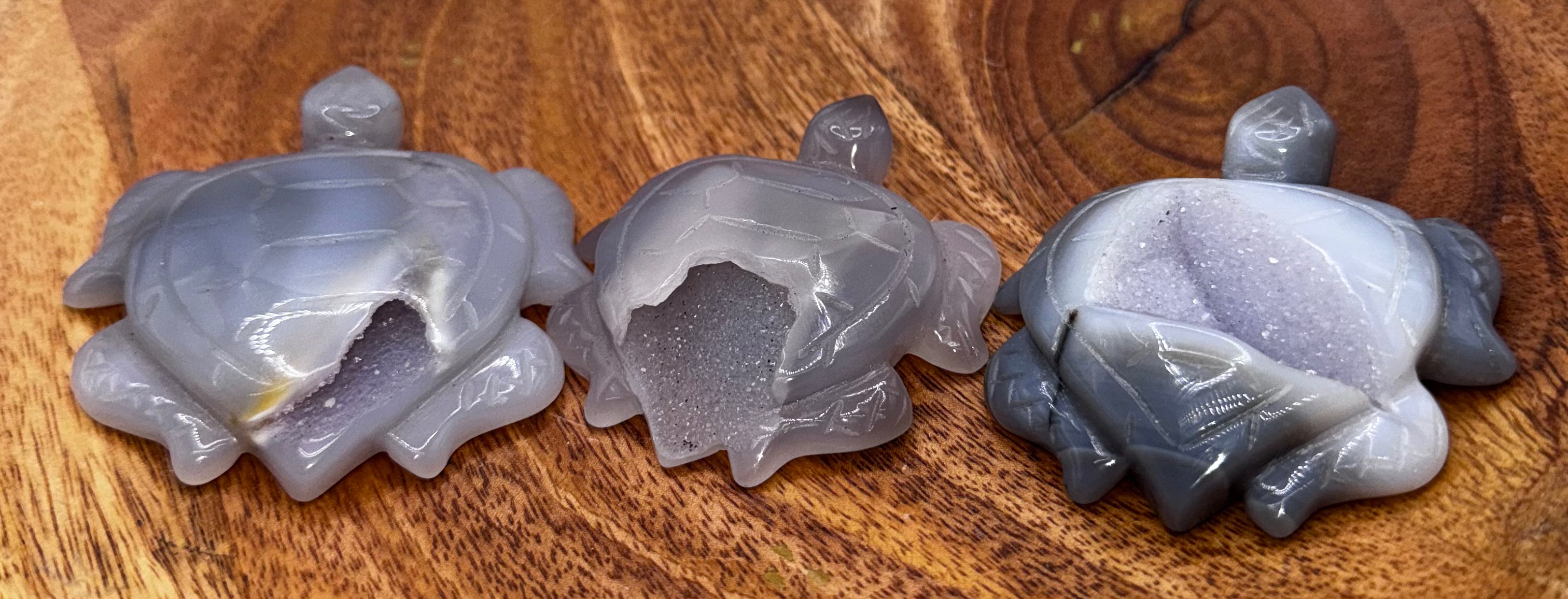 Agate Geode Turtles