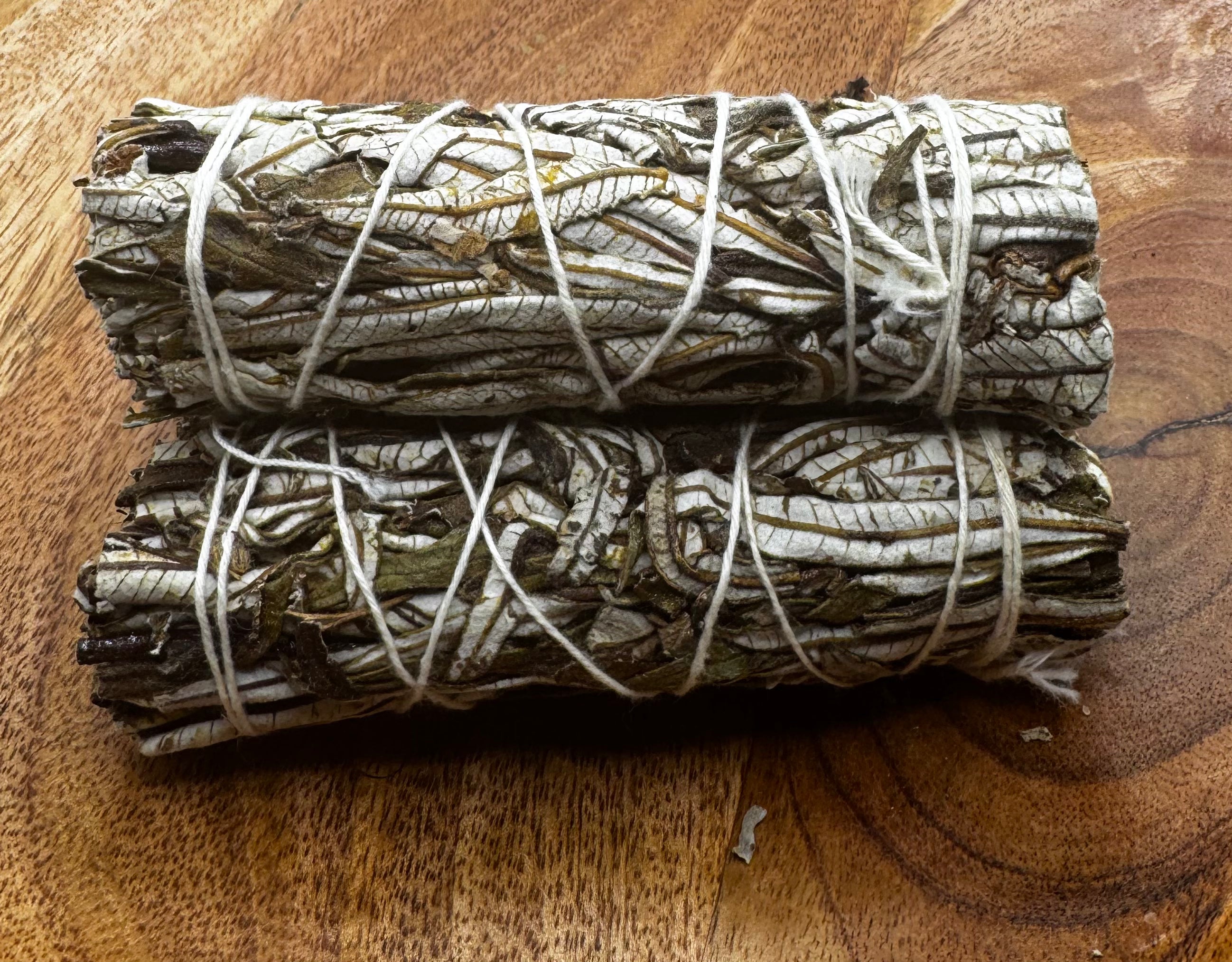Yerba Santa and White Sage