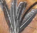 Smudging Feathers